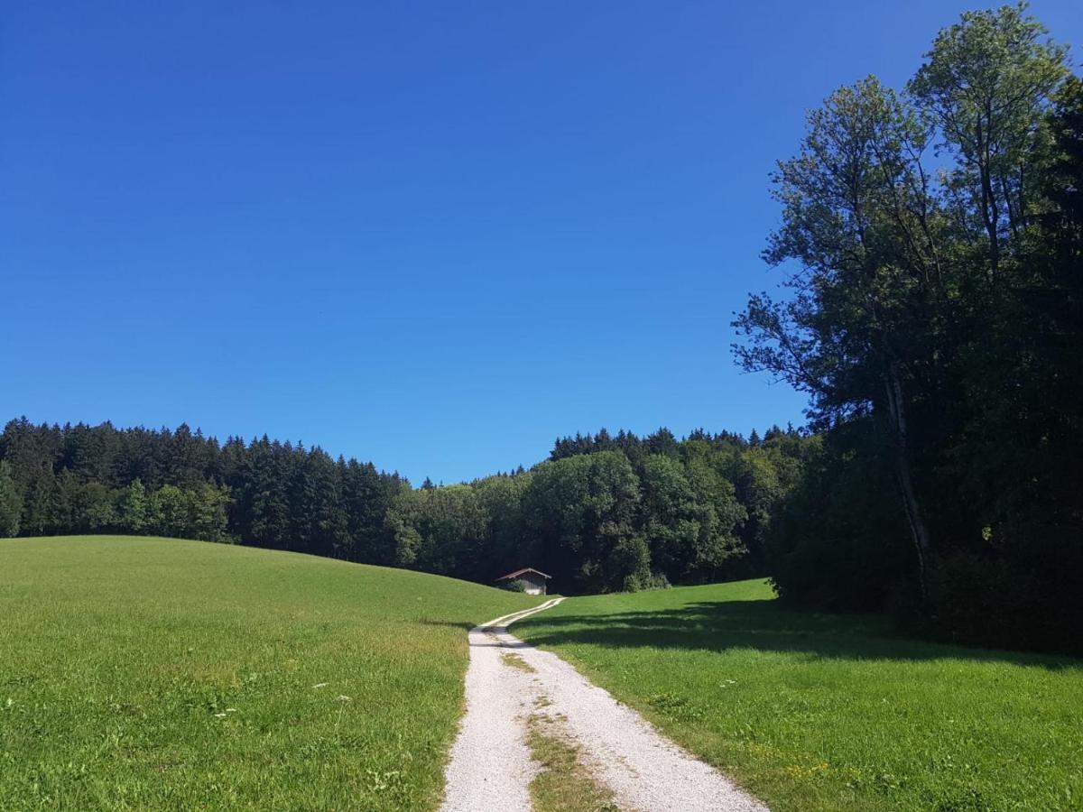 Ferienhaus Chiemgauer Auszeit- Chiemgaukarte Inclusive Siegsdorf Zewnętrze zdjęcie