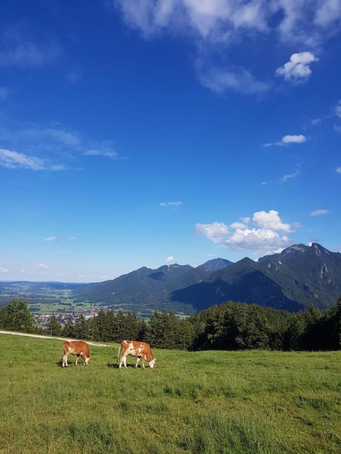 Ferienhaus Chiemgauer Auszeit- Chiemgaukarte Inclusive Siegsdorf Zewnętrze zdjęcie