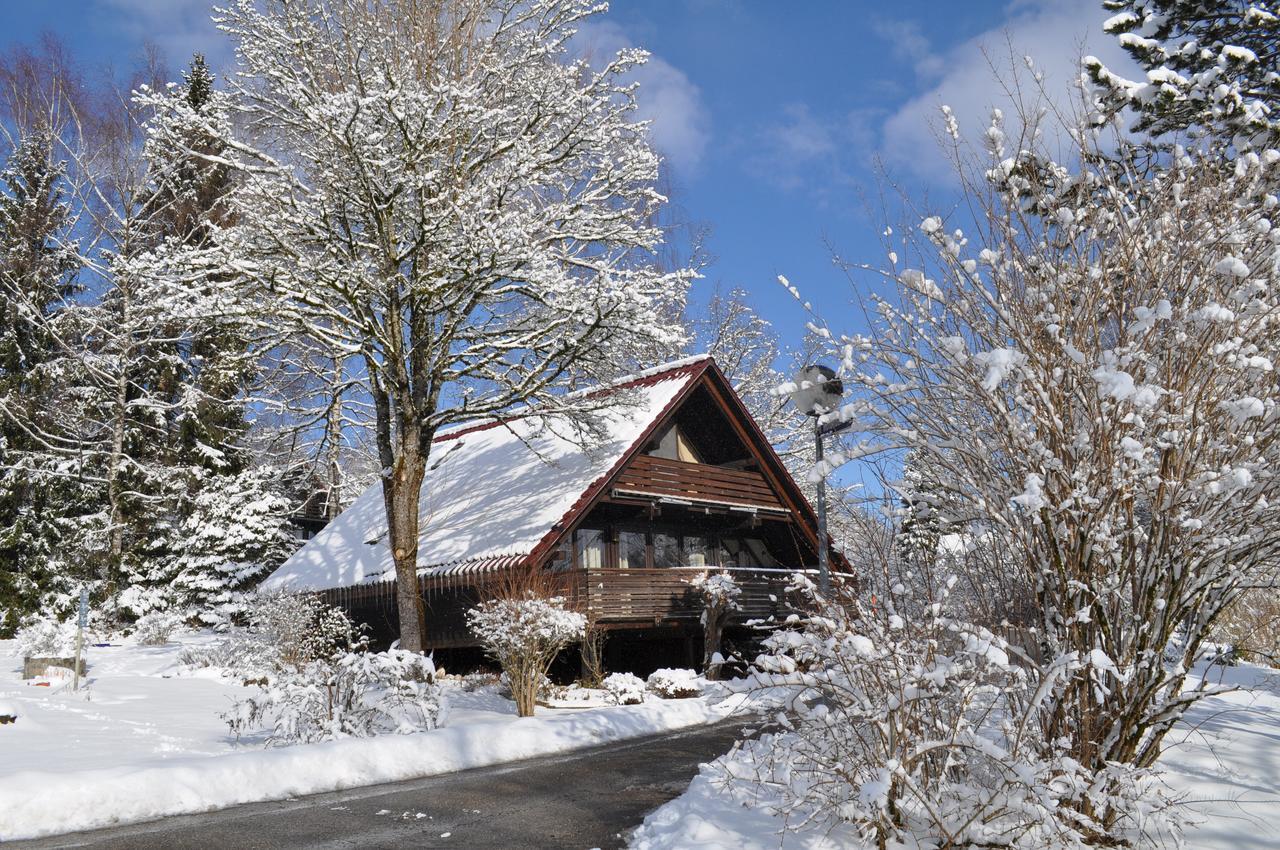 Ferienhaus Chiemgauer Auszeit- Chiemgaukarte Inclusive Siegsdorf Zewnętrze zdjęcie