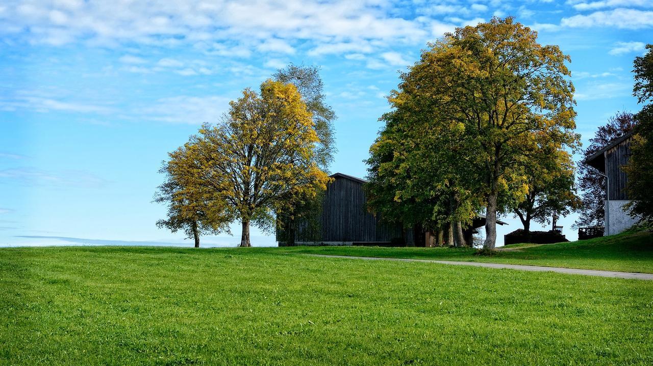 Ferienhaus Chiemgauer Auszeit- Chiemgaukarte Inclusive Siegsdorf Zewnętrze zdjęcie